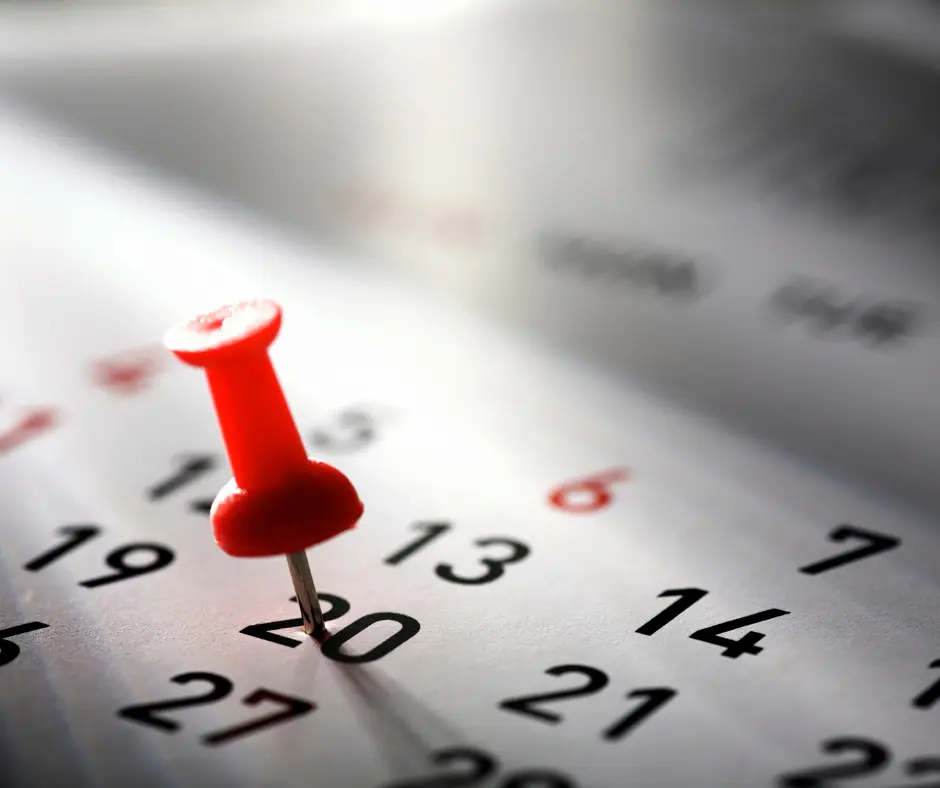 Calender to plan Disneyland