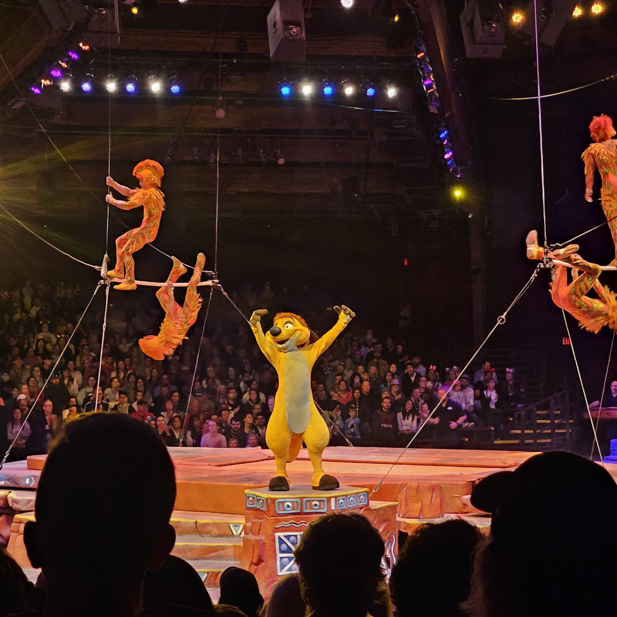 Animal kingdom Lion King Show