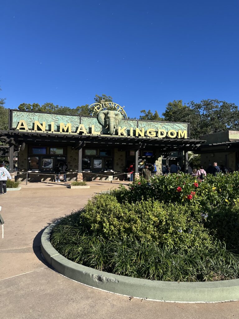 Animal Kingdom Disney World